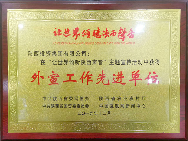 2019年“让天下谛听陕西声音”主题宣传运动外宣先进单位