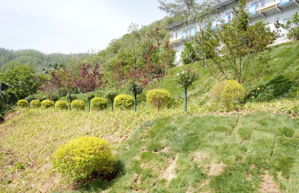 amjs澳金沙门线路(中国)有限公司首页